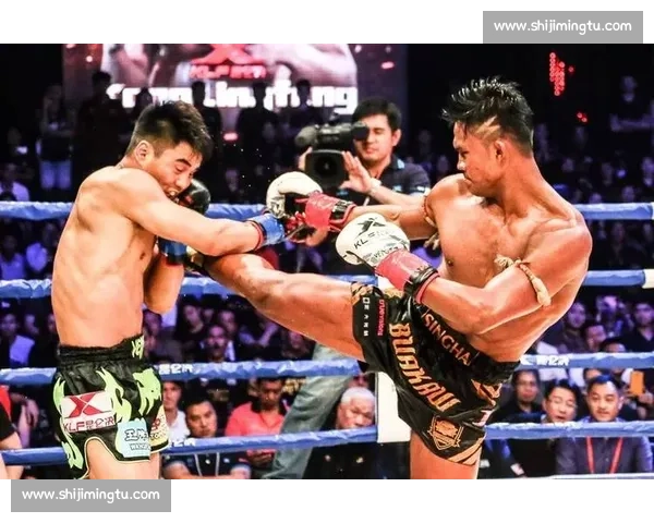 张开印对决播求巅峰一战胜负揭晓谁才是真正王者赛场全程回顾与技术解析